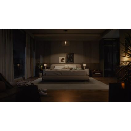Komplektas: 2 dimeriuojamos LED lemputės Philips Hue WHITE E27/7W/230V 2700K
