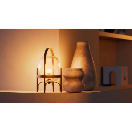 Komplektas: 2 dimeriuojamos LED lemputės Philips Hue WHITE E27/7W/230V 2700K