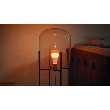 Rinkinys (2 vnt.) LED dimeriuojamos lemputės Philips Hue WHITE AND COLOR AMBIANCE E27/6W/230V 1000-20000K