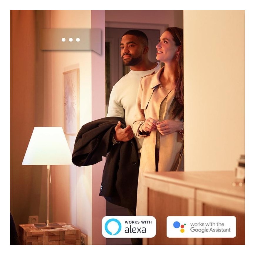 KOMPLEKTAS 2x Pritemdoma LED lemputė Philips Hue, balta E27/9W/230V 2700K