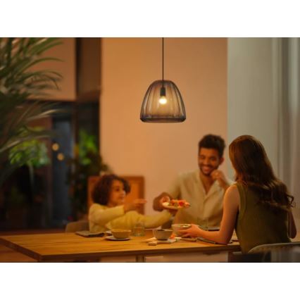 KOMPLEKTAS 2x LED pritemdoma elektros lemputė Philips Hue WHITE AMBIANCE P45 E14/5,1W/230V 2200-6500K