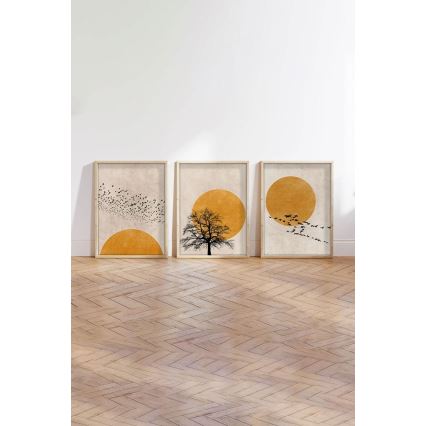 Komplektas 3 vnt. paveikslų rėmuose 50x70 cm smėlio/oranžinė
