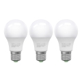 KOMPLEKTAS 3x LED elektros lemputė ECOLINE A60 E27/10W/230V 4000K - Brilagi