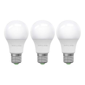 KOMPLEKTAS 3x LED elektros lemputė ECOLINE A60 E27/15W/230V 6500K - Brilagi