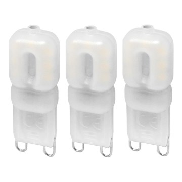 KOMPLEKTAS 3x LED elektros lemputė ECOLINE G9/2,5W/230V 3000K - Brilagi