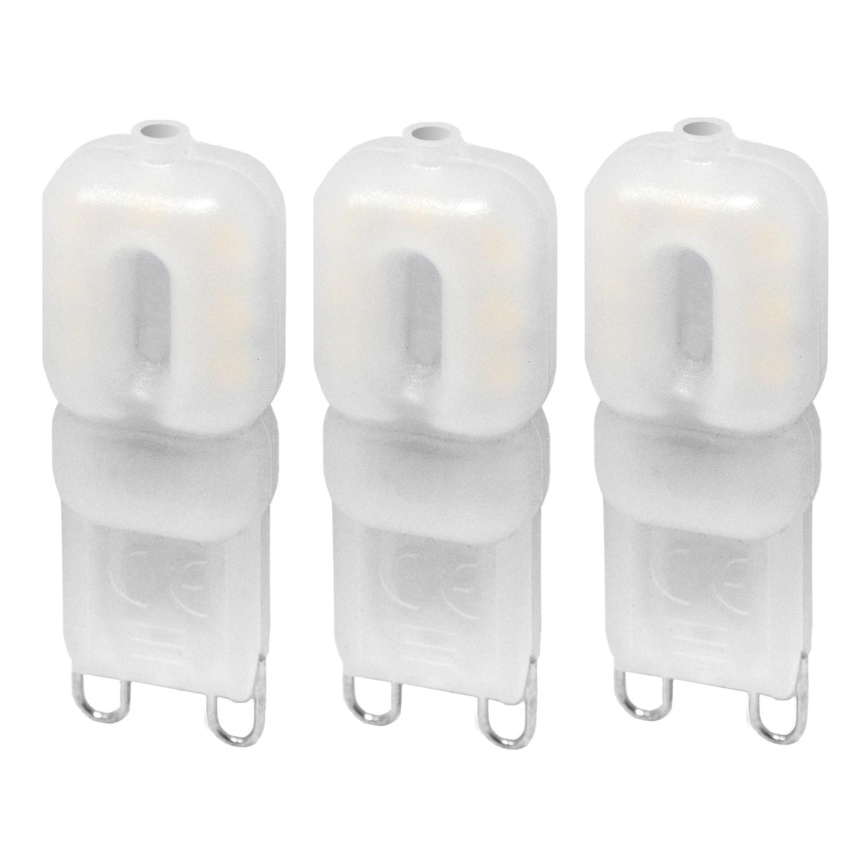 KOMPLEKTAS 3x LED elektros lemputė ECOLINE G9/2,5W/230V 3000K - Brilagi