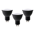KOMPLEKTAS 3x LED elektros lemputė ECOLINE GU10/6W/230V 4000K juoda - Brilagi