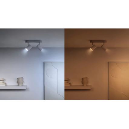 KOMPLEKTAS 3x LED RGBW Reguliuojama lemputė PAR16 GU10/4,7W/230V 2200-6500K Wi-Fi - WiZ