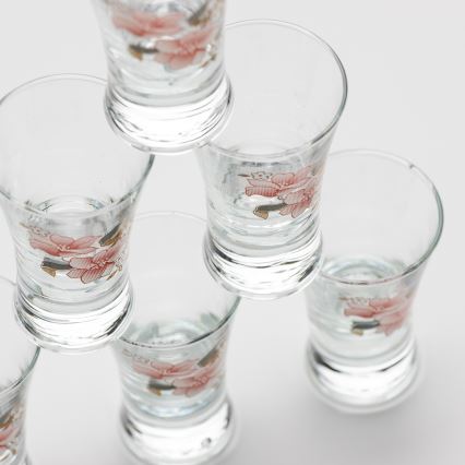 KOMPLEKTAS 6x likerio stikliukas su puokštės motyvu nr. 2