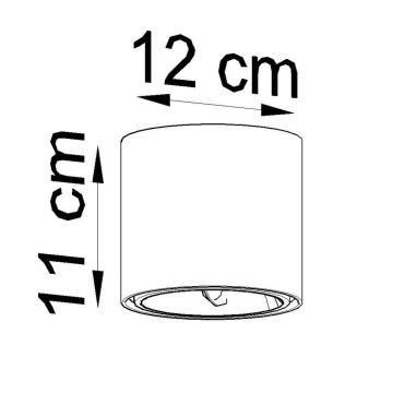 Kryptinis šviestuvas TIUBE 1xGU10-AR111/40W/230V