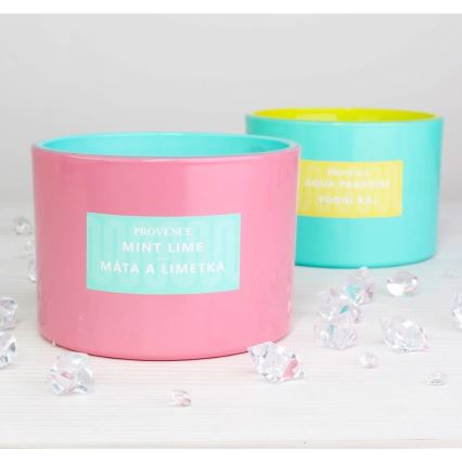 Kvapnioji žvakė MINT LIME 292g