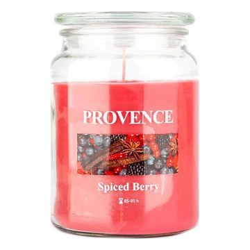 Kvapnioji žvakė SPICED BERRY 510g 85-95 val.