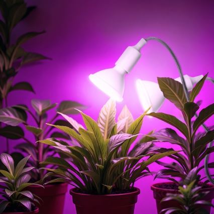 Lankstus Stalinis šviestuvas su segtuku augalams auginti PLANTY 2xE27/30W/230V balta