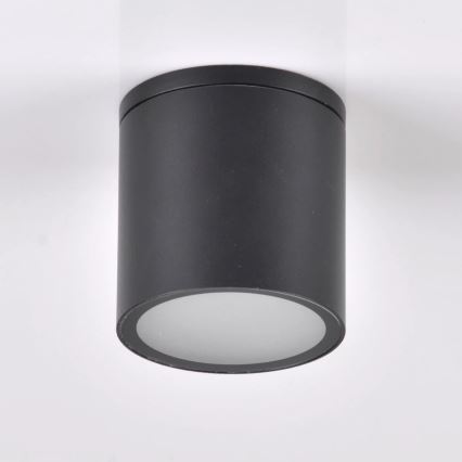 Lauko akcentinis šviestuvas OHIO 1xGU10/10W/230V IP54 juoda