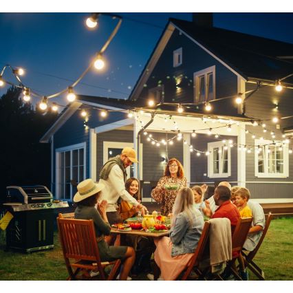 Lauko Dekoratyvinė girlianda MIMOSA 10xE27/1,3W/230V IP44 10 m