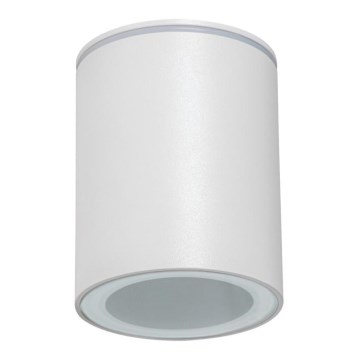 Lauko kryptinis šviestuvas AQILO 1xGU10/7W/230V IP65 baltas