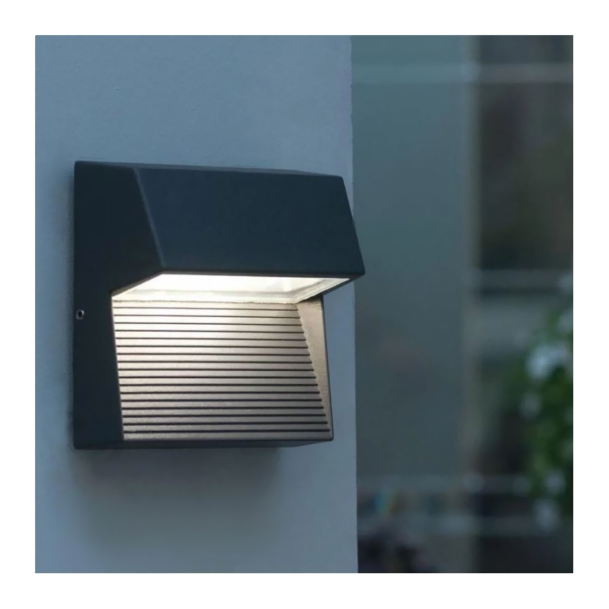 Lauko LED sieninis šviestuvas CARRI LED / 3W / 230V IP54