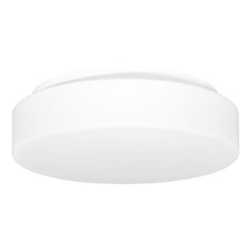 Lauko lubinis šviestuvas HECTOR 1xE27/60W/230V diametras 30 cm IP44 opalas balta
