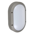 Lauko sieninis LED šviestuvas BERAD, 8 W, 230 V, IP54, pilkas