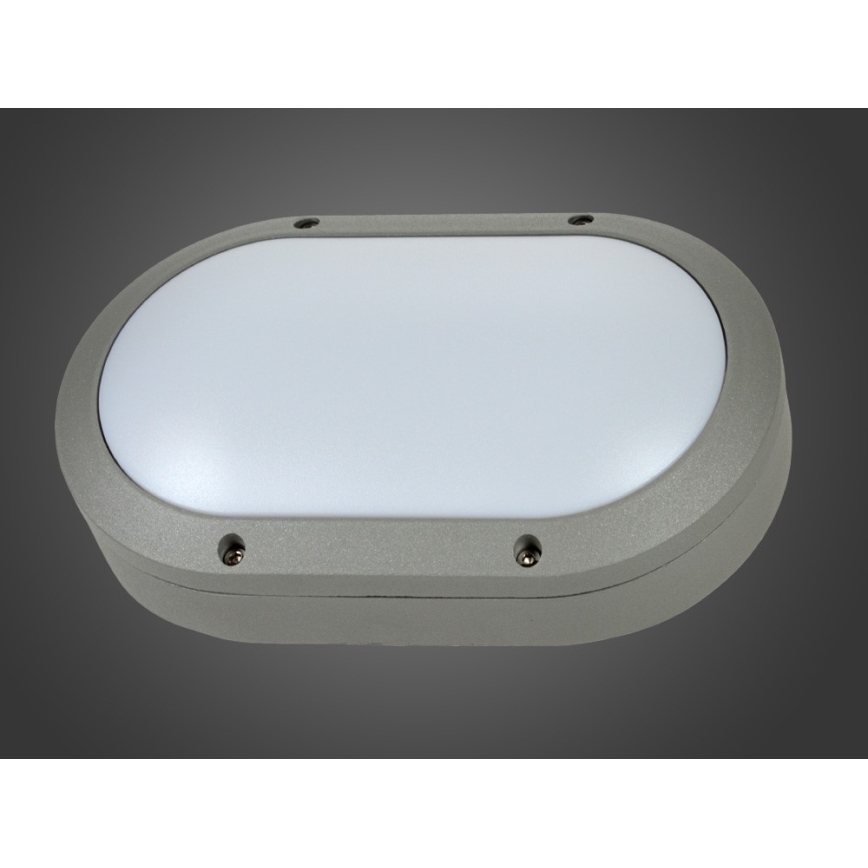 Lauko sieninis LED šviestuvas BERAD, 8 W, 230 V, IP54, pilkas