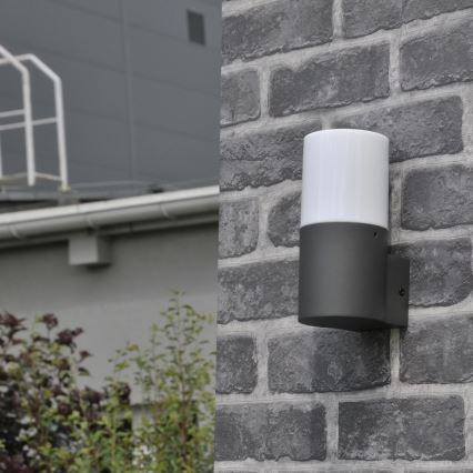 Lauko sieninis šviestuvas DALLAS 1xE27/12W/230V IP44 antracitas
