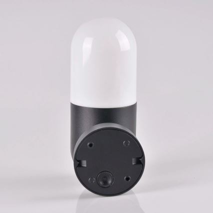 Lauko sieninis šviestuvas HORTEN 1xE27/10W/230V IP44