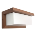 Lauko sieninis šviestuvas NEELY 1xE27/60W/230V IP54 rudas