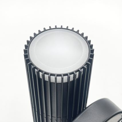 Lauko sieninis taškinis šviestuvas LANTHEA 2xGU10/11W/230V IP44 juodas