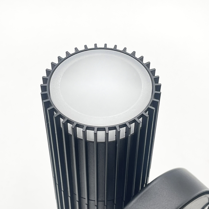 Lauko sieninis taškinis šviestuvas LANTHEA 2xGU10/11W/230V IP44 juodas