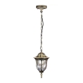 Lauko sietynas FLORENCJA 1xE27/20W/230V IP43