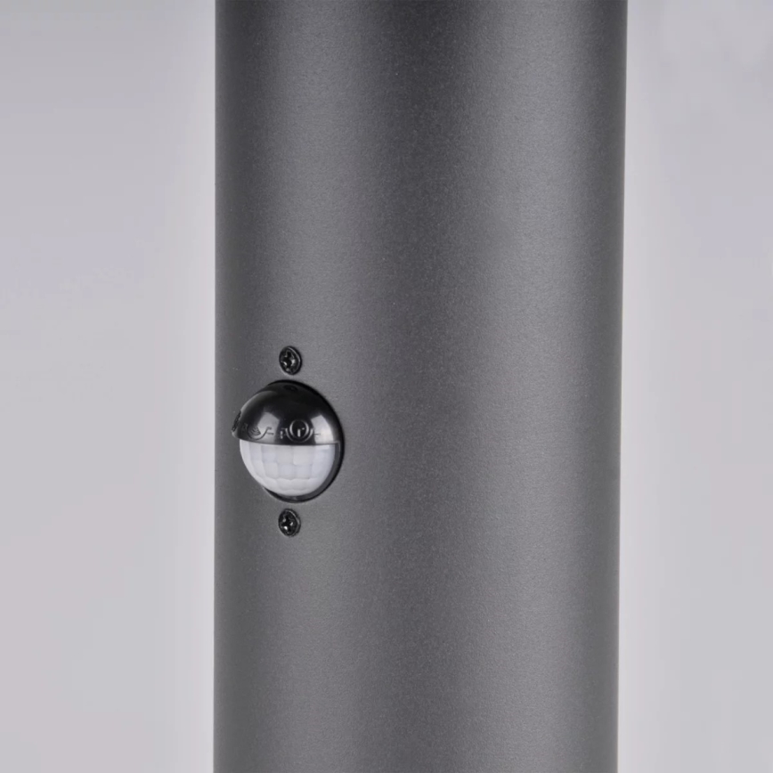 Lauko šviestuvas su jutikliu DALLAS 1xE27/12W/230V IP44 antracitas