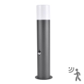 Lauko šviestuvas su jutikliu DALLAS 1xE27/12W/230V IP44 antracito spalvos