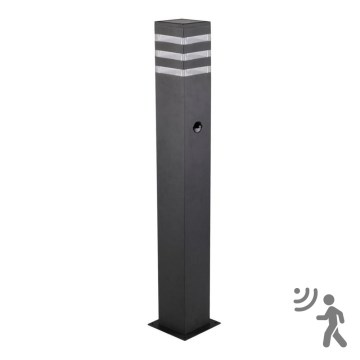 Lauko šviestuvas su jutikliu TEKSAS 1xE27/12W/230V IP44 74 cm antracito spalvos