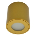 Lauko taškinis šviestuvas FARA 1xGU10/30W/230V IP54 auksinis