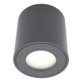 Lauko taškinis šviestuvas FARA 1xGU10/30W/230V IP54 juodas