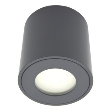 Lauko taškinis šviestuvas FARA 1xGU10/30W/230V IP54 juodas