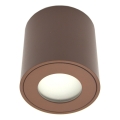 Lauko taškinis šviestuvas FARA 1xGU10/30W/230V IP54 rudas