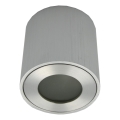 Lauko taškinis šviestuvas FARA 1xGU10/30W/230V IP54 sidabro spalvos