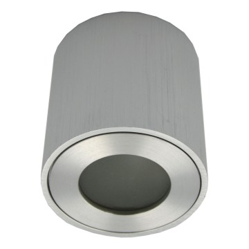 Lauko taškinis šviestuvas FARA 1xGU10/30W/230V IP54 sidabro spalvos