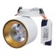 LED Akcentinis įleidžiamas šviestuvas HARON LED/20W/230V balta