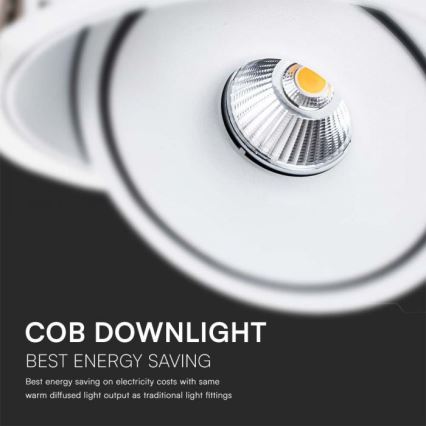 LED Akcentinis įleidžiamas šviestuvas LED/28W/230V 3000/4000/6400K diametras 20 cm balta
