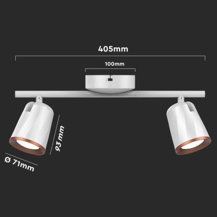 LED Akcentinis šviestuvas 2xLED/5W/230V 3000K baltas