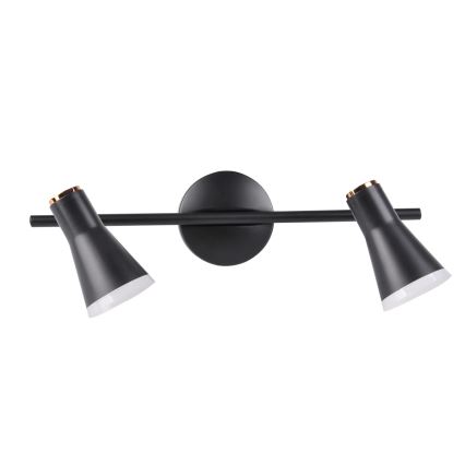 LED Akcentinis šviestuvas BERG 2xLED/4,2W/230V juodas