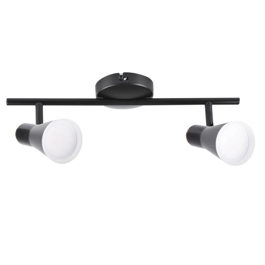 LED Akcentinis šviestuvas BERG 2xLED/4,2W/230V juodas