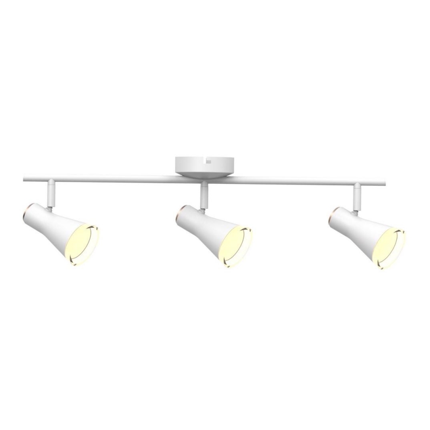 LED Akcentinis šviestuvas BERG 3xLED/4,2W/230V baltas