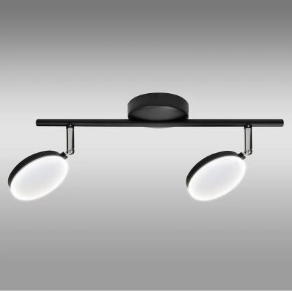 LED Akcentinis šviestuvas CAPRI 2xLED/5W/230V