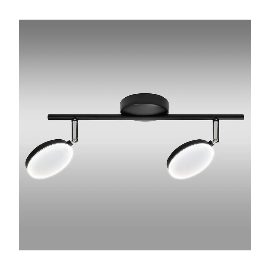 LED Akcentinis šviestuvas CAPRI 2xLED/5W/230V