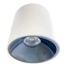 LED akcentinis šviestuvas LED/12W/230V 4000K diametras 8 cm balta
