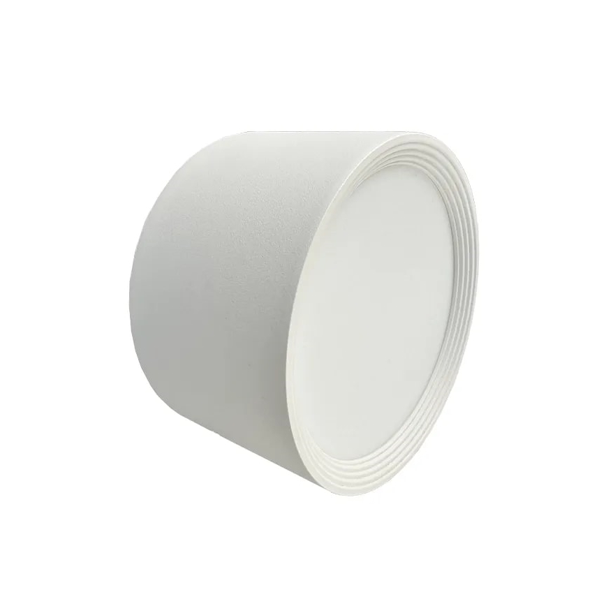LED akcentinis šviestuvas LED/14W/230V 4000K diametras 12 cm balta