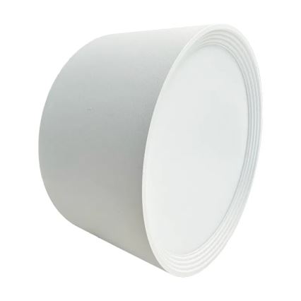 LED akcentinis šviestuvas LED/17W/230V 4000K diametras 15 cm balta